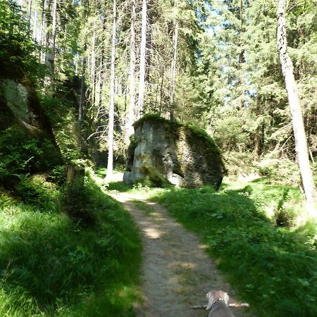 Ein Platz Fuer Ruhe Und Naturgenuss Sebnitz Exterior photo