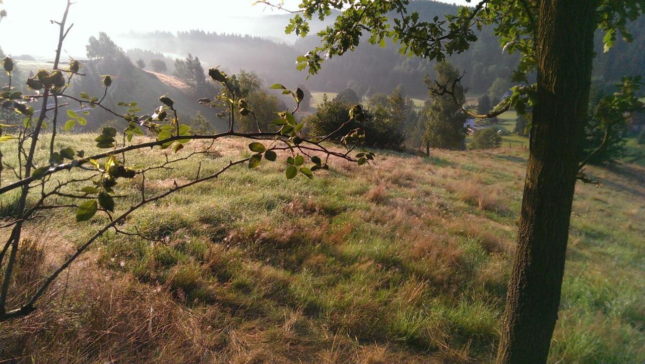 Ein Platz Fuer Ruhe Und Naturgenuss Sebnitz Exterior photo